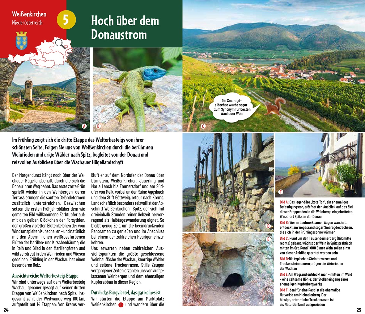 Wanderliebe – Schritt für Schritt durch Österreich