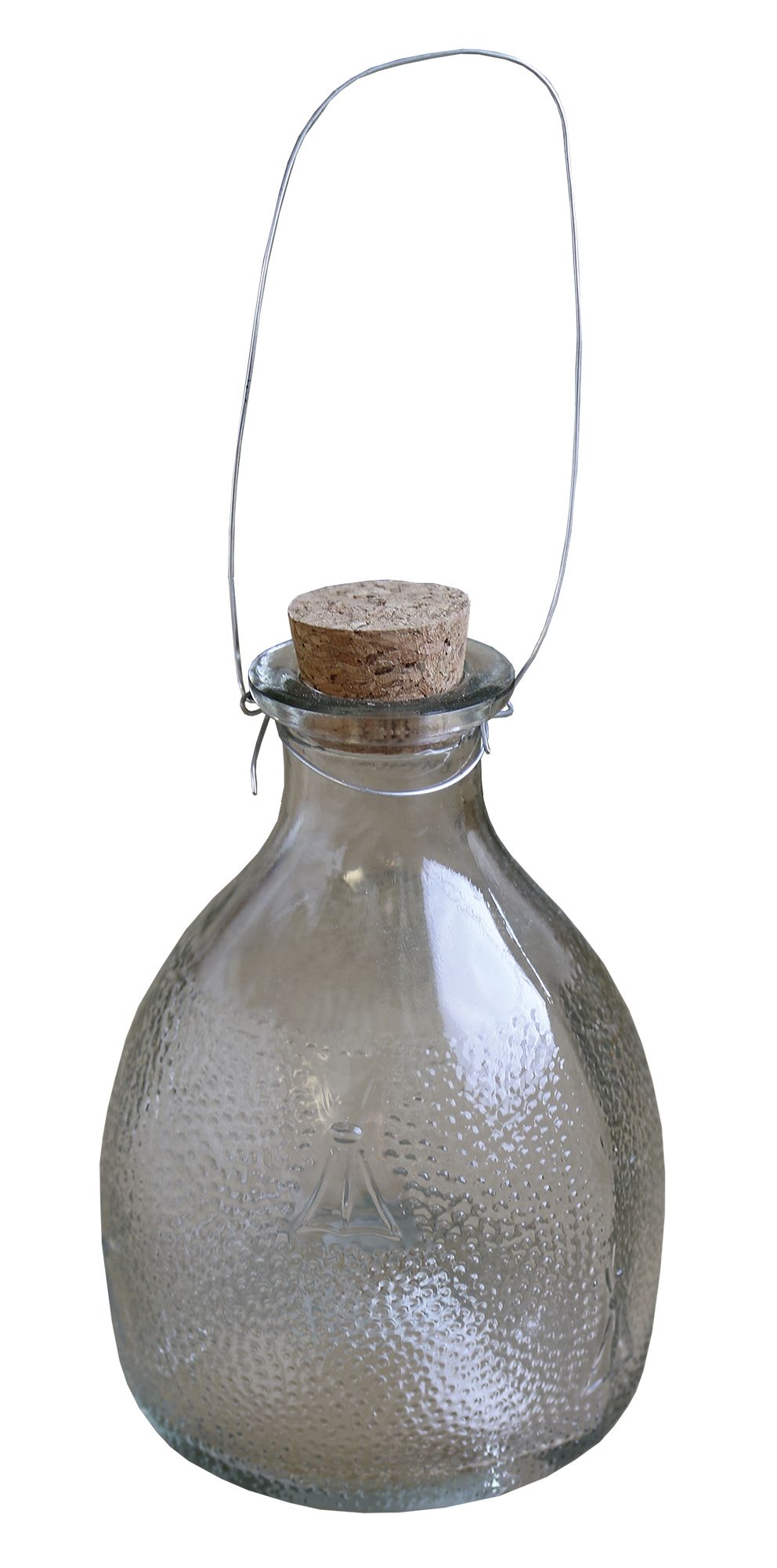 Wespenfalle, Glas, transparent