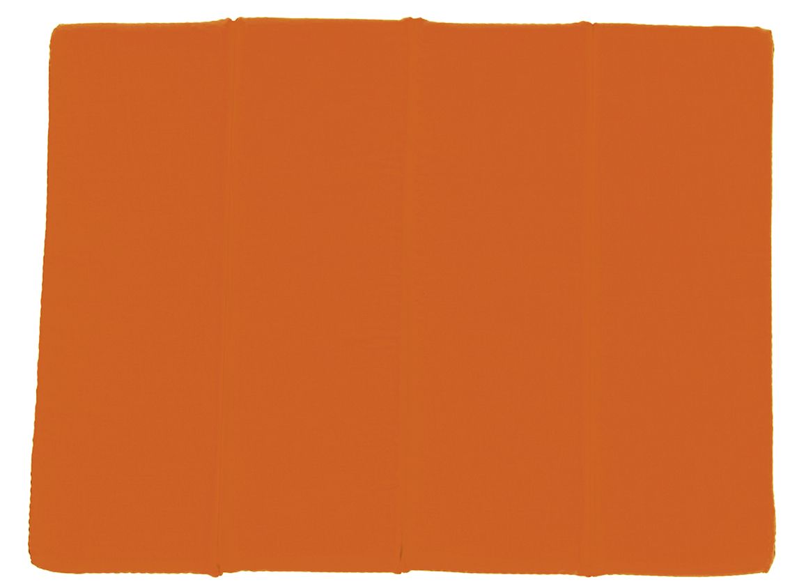 Sitzkissen orange