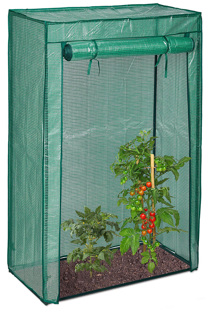 Foliengewächshaus für Tomaten