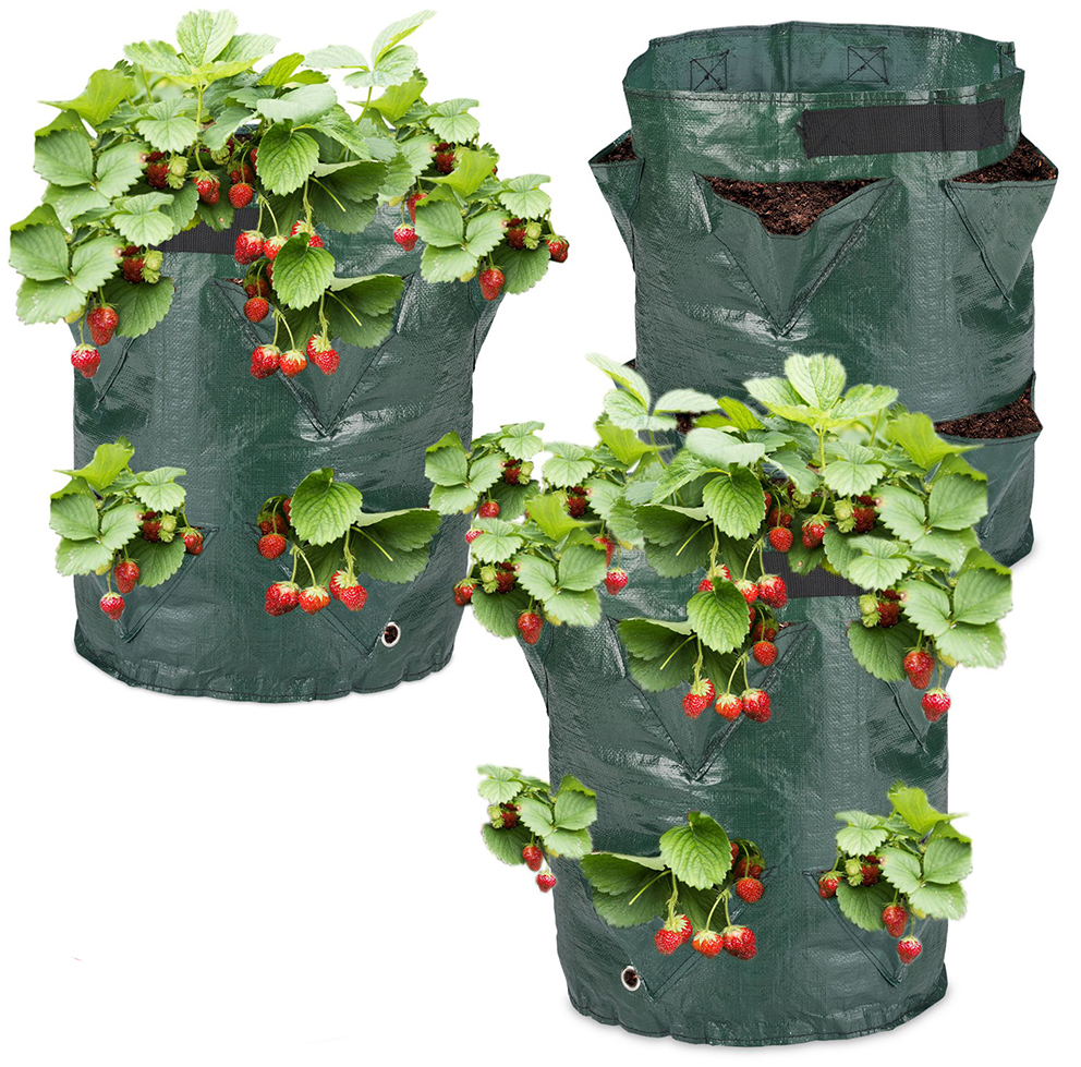 Pflanzsack für Erdbeeren Pflanzsack für Erdbeeren